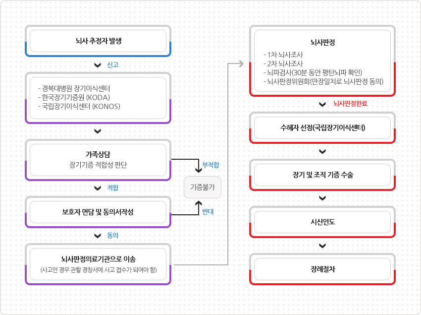 뇌사 판정 과정