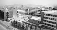 1980~ 관련 이미지